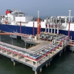 中国人把蛇作为新的十二生肖符号