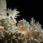 Meta携手Castle Journal参观埃及大博物馆,邀请人们探索丰富的历史