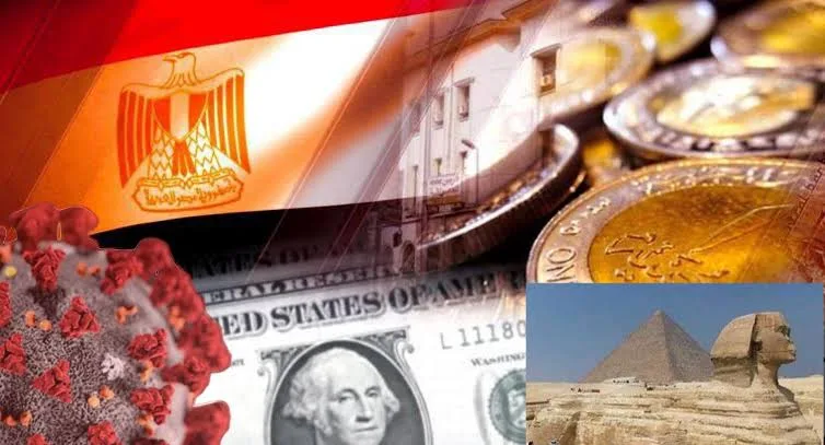 埃及经济新引擎:斥资10亿美元兴建轮胎工厂,助力本土产业发展 5 IMG 0479 - CJ China