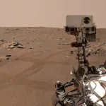 旱灾摧毁马拉维民众生计,流离失所