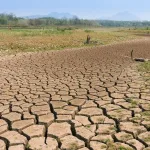 快餐正导致全球儿童肥胖问题发生历史性转变