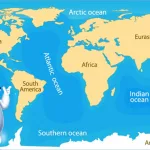 贸易紧张局势加剧,2025年全球经济前景下调