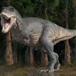 令人震惊的研究发现微塑料已渗入人体骨骼深处