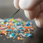 125年之谜终获解答：威尔士发现新恐龙物种