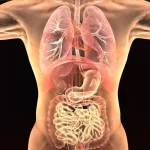 气候变化导致致命雾霾:到2050年,野火烟雾每年可能导致7万美国人死亡