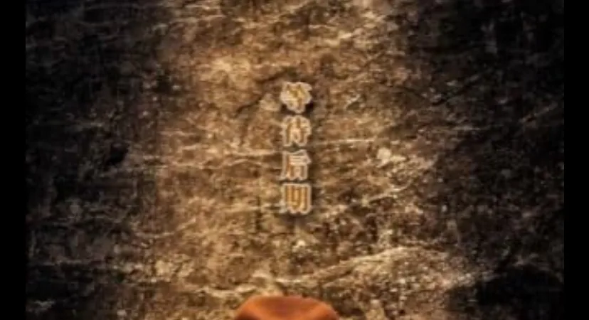 电影《龙之咆哮》龙吼吼吼:2025年中国电影海外票房有望突破10亿元 5 电影《龙之咆哮》