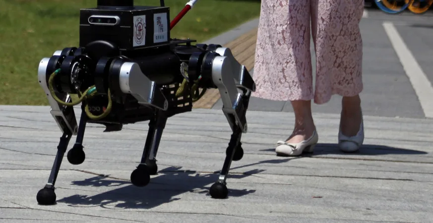 中国中国狗机器人; 中国宇树科技推出“训练”机器狗的教育课程 5 中国狗机器人